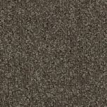 Forbo Coral Classic 4764 taupe