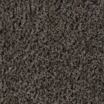 Forbo Coral Brush 5714 Shark Grey
