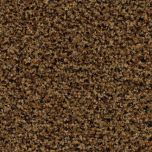 Forbo Coral Brush 5716 Masala Brown