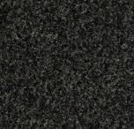 Forbo Coral Brush - 5721 hurricane grey