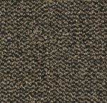 Coral Marine - 4204 Santos brown