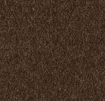 Coral Marine - 4226 Tanger brown