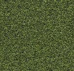 Forbo Coral Bright 2608 Fresh Grass