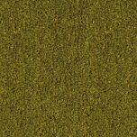 Kokos schoonloopmat - groen