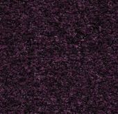 5739 Byzantine purple