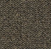 Coral Marine - 4204 Santos brown