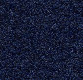 Forbo Coral Bright 2607 Deep Water