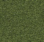 Forbo Coral Bright 2608 Fresh Grass