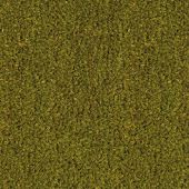 Kokos schoonloopmat - groen