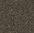 Coral Marine - 4204 Santos brown