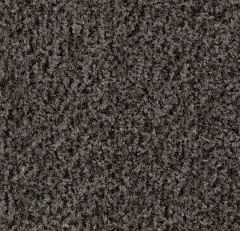Forbo Coral Brush - 5714 shark grey